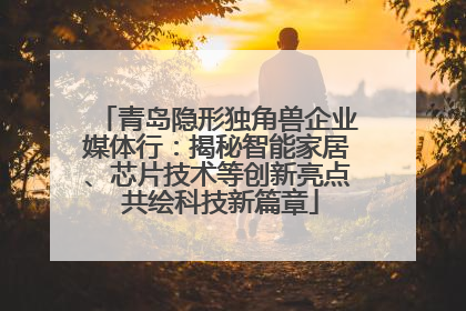 青岛隐形独角兽企业媒体行：揭秘智能家居、芯片技术等创新亮点 共绘科技新篇章