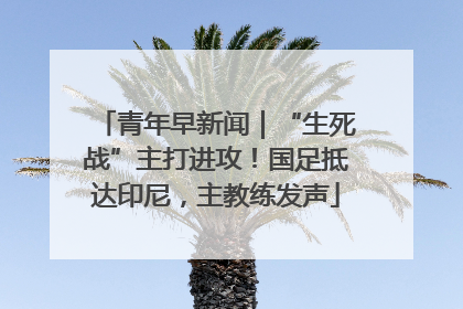 青年早新闻｜“生死战”主打进攻！国足抵达印尼，主教练发声