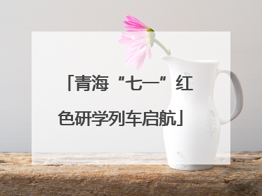 青海“七一”红色研学列车启航