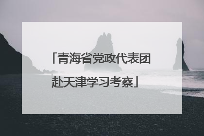 青海省党政代表团赴天津学习考察