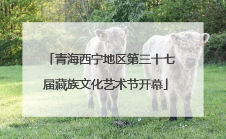 青海西宁地区第三十七届藏族文化艺术节开幕