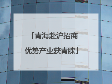 青海赴沪招商 优势产业获青睐