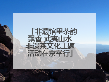 非遗馆里茶韵飘香 武夷山水非遗茶文化主题活动在京举行
