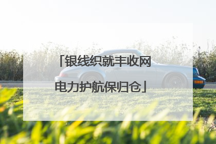 银线织就丰收网 电力护航保归仓