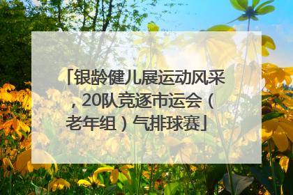 银龄健儿展运动风采，20队竞逐市运会（老年组）气排球赛
