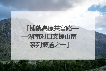 铺就高原共富路——湖南对口支援山南系列报道之一
