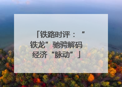 铁路时评：“铁龙”驰骋解码经济“脉动”