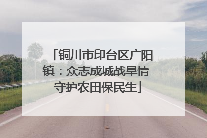 铜川市印台区广阳镇：众志成城战旱情 守护农田保民生