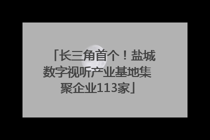 长三角首个！盐城数字视听产业基地集聚企业113家