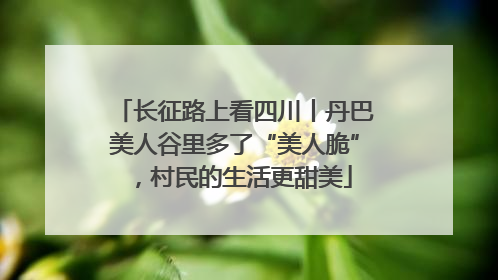 长征路上看四川丨丹巴美人谷里多了“美人脆”，村民的生活更甜美