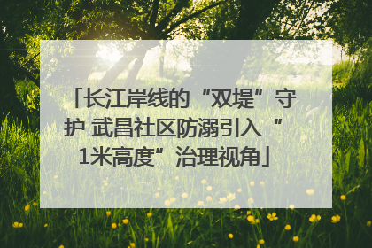 长江岸线的“双堤”守护 武昌社区防溺引入“1米高度”治理视角
