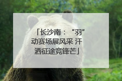 长沙南：“羽”动赛场展风采 汗洒征途竞锋芒