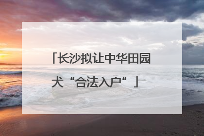 长沙拟让中华田园犬“合法入户”