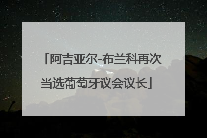 阿吉亚尔-布兰科再次当选葡萄牙议会议长