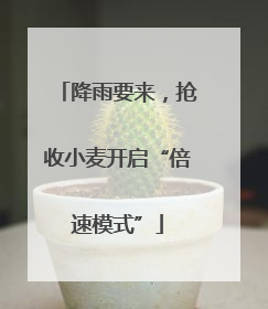 降雨要来，抢收小麦开启“倍速模式”