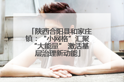 陕西合阳县和家庄镇：“小网格”汇聚“大能量” 激活基层治理新动能