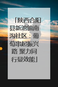 陕西合阳县新池镇南沟社区：葡萄串起振兴路 聚力同行显效能