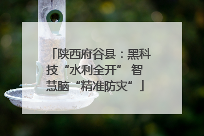 陕西府谷县：黑科技“水利全开” 智慧脑“精准防灾”