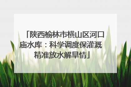 陕西榆林市横山区河口庙水库：科学调度保灌溉 精准放水解旱情