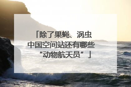 除了果蝇、涡虫 中国空间站还有哪些“动物航天员”