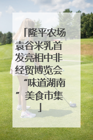 隆平农场袁谷米乳首发亮相中非经贸博览会“味道湖南”美食市集