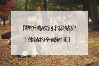 雄忻高铁河北段站房主体结构全部封顶