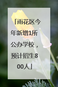 雨花区今年新增1所公办学校，预计招生800人