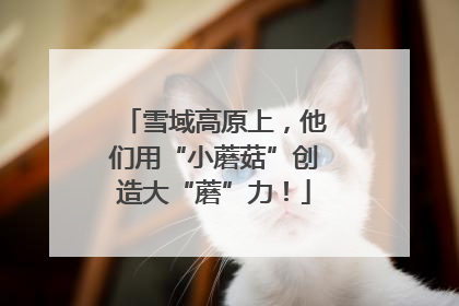 雪域高原上，他们用“小蘑菇”创造大“蘑”力！