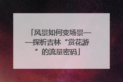 风景如何变场景——探析吉林“赏花游”的流量密码