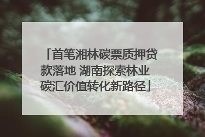 首笔湘林碳票质押贷款落地 湖南探索林业碳汇价值转化新路径