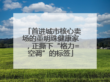 首进城市核心卖场的董明珠健康家，正撕下“格力=空调”的标签