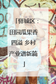 驿城区：田园瓜果香四溢 乡村产业谱新篇