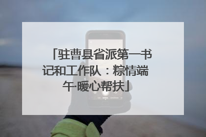 驻曹县省派第一书记和工作队：粽情端午·暖心帮扶