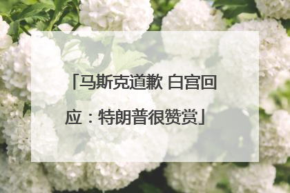 马斯克道歉 白宫回应：特朗普很赞赏