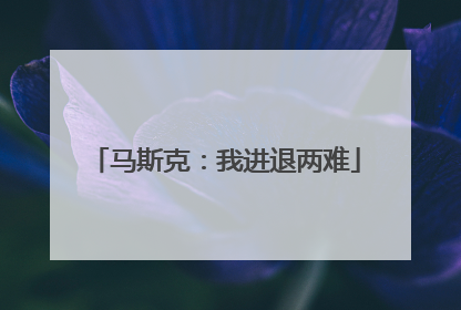马斯克：我进退两难