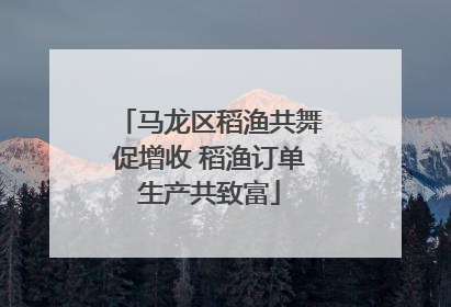 马龙区稻渔共舞促增收 稻渔订单生产共致富
