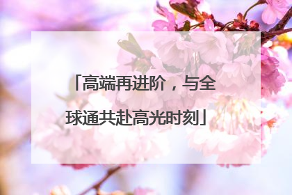 高端再进阶，与全球通共赴高光时刻