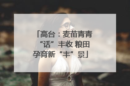 高台：麦苗青青“话”丰收 粮田孕育新“丰”景