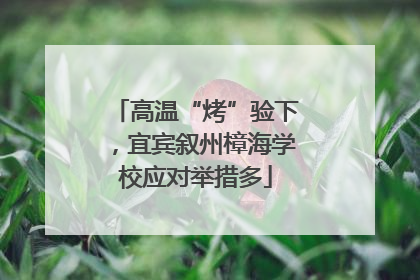 高温“烤”验下，宜宾叙州樟海学校应对举措多