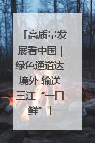 高质量发展看中国｜绿色通道达境外 输送三江“一口鲜”