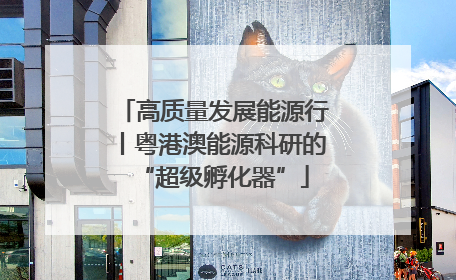 高质量发展能源行丨粤港澳能源科研的“超级孵化器”