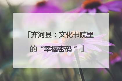 齐河县：文化书院里的“幸福密码 ”