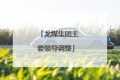 龙煤集团主要领导调整