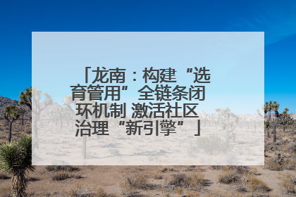 龙南：构建“选育管用”全链条闭环机制 激活社区治理“新引擎”