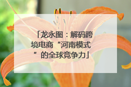 龙永图：解码跨境电商“河南模式”的全球竞争力