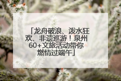 龙舟破浪、泼水狂欢、非遗巡游！泉州60+文旅活动带你燃情过端午
