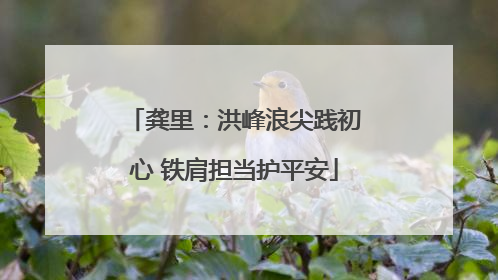 龚里：洪峰浪尖践初心 铁肩担当护平安