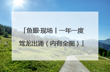 鱼眼·现场丨一年一度 驾龙出涌（内有全图）