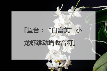 鱼台：“白富美”小龙虾跳动增收音符
