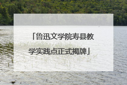 鲁迅文学院寿县教学实践点正式揭牌